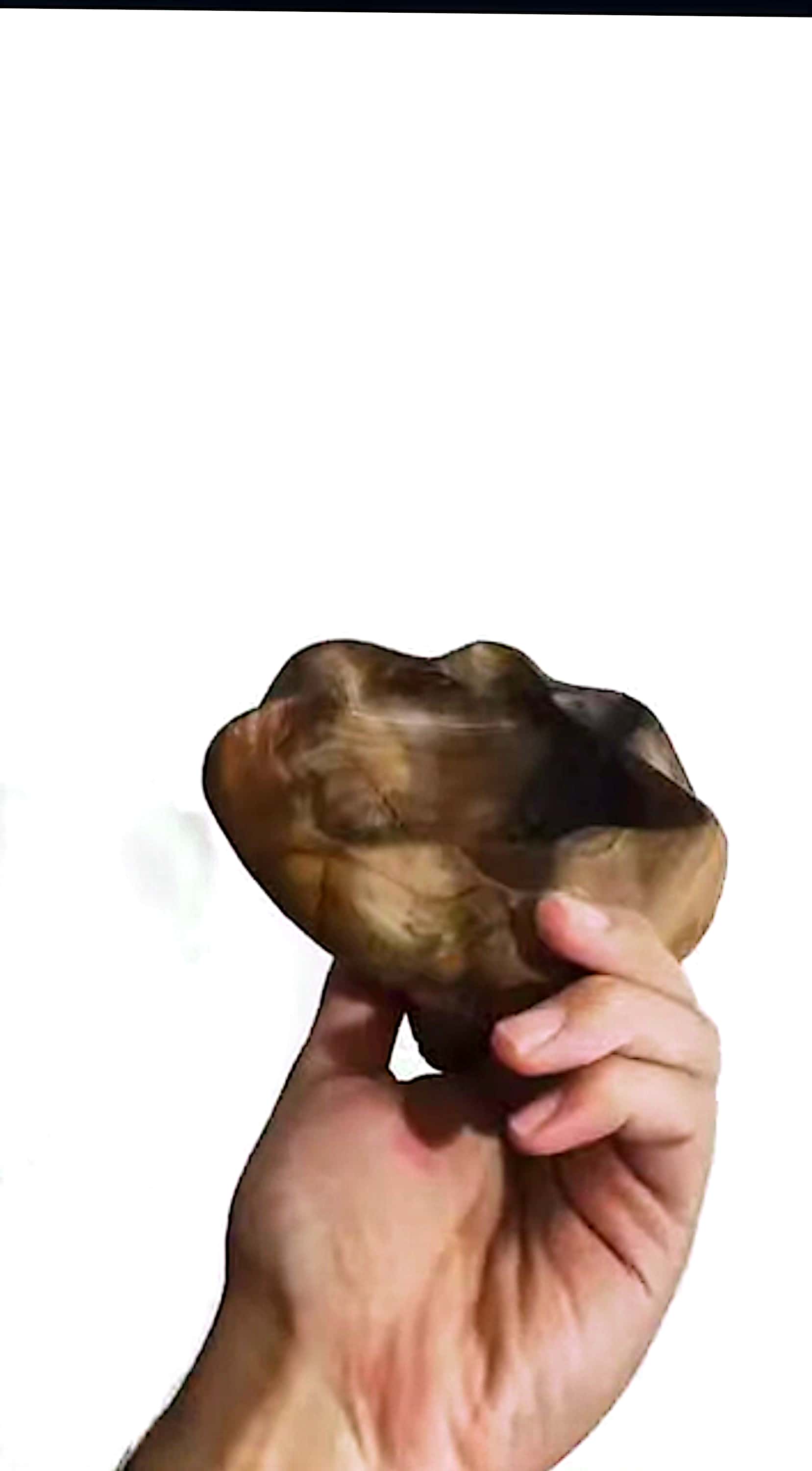 سینی چوب گردو